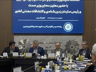 فقط ۲ درصد از ذخایر معدنی کشور کشف شده است